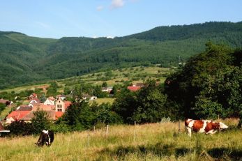 osenbach (mairie_osenbach) (7)